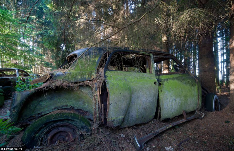 Illustration for article titled Chatillon, Belgium. The Graveyard Of The Cars Of The American Soldiers Deployed In Europe, Who Didn't Take Them Back To The U.S.A.